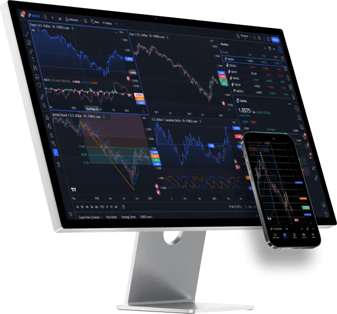 Forex traders
