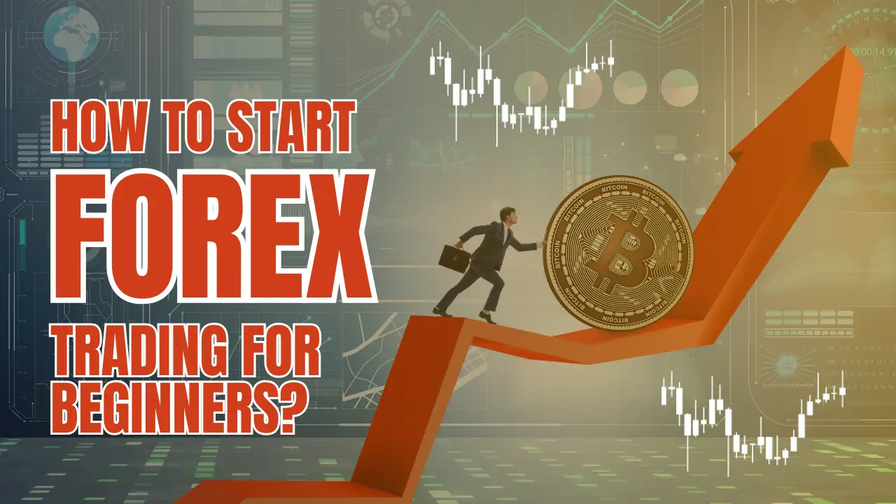 Forex Trading For Beginners